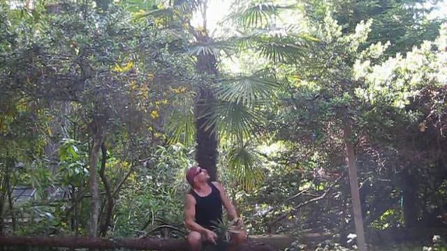 Palm Trees I grow смотреть онлайн