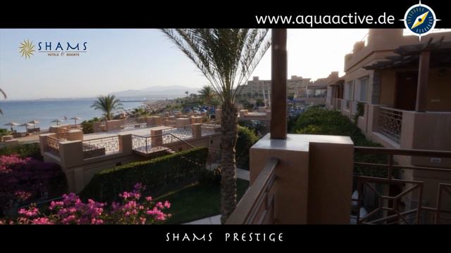 Shams Prestige & Aqua Active Agency смотреть онлайн