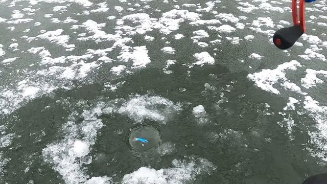 Тестирую зимний спиннинг Lucky John C-Tech щучками. Посылка из Rybalkashop