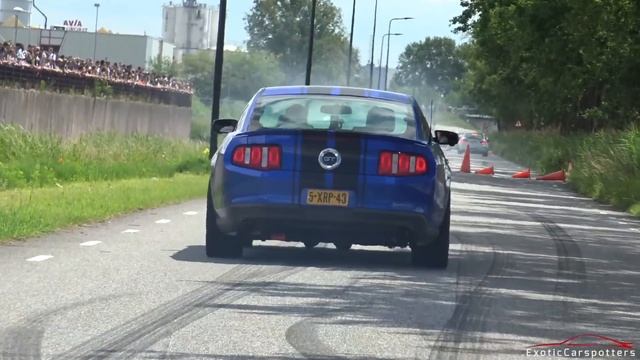 BEST OF Ford Mustang Sounds ! Alphamale Widebody, 400HP Ecoboost Mustang, GT350R, Roush Mustang смотреть онлайн