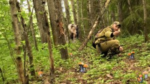 Пошёл по Грибы и Чуть не нарвался на Медведя! Тихая охота 2024.