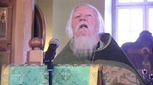 Проповедь на 6-ю неделю вайи. Вербное воскресенье. Дмитрий Смирнов