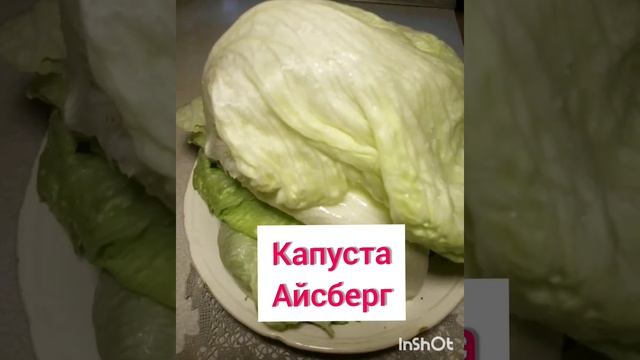 Голубцы в капуске Айсберг с гречкой. Правильное питание, ЗОЖ. Едим и худеем. смотреть онлайн