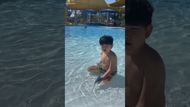 Дениз рассказывает о Барракуде в Красном Море Египта @denizjapar смотреть онлайн