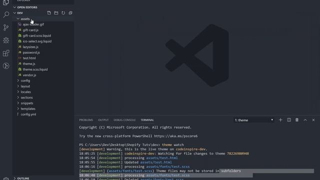 10 - Shopify Theme Folder Structure and Rules for Developers смотреть онлайн