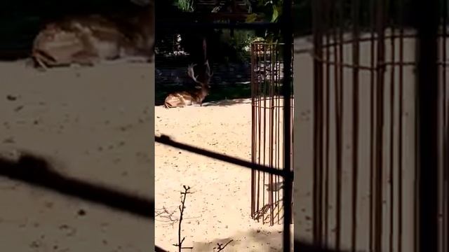 Мы были в парке лога смотреть онлайн