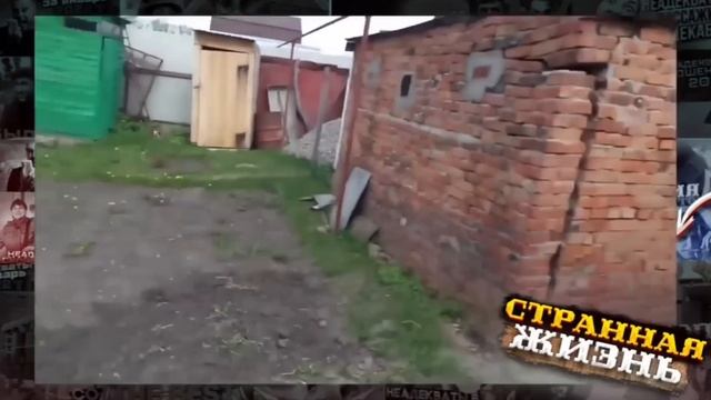 Неадекватные соседи на даче! Битва за грядки, треш вокруг участка, и драки с пьяными быдло! смотреть онлайн