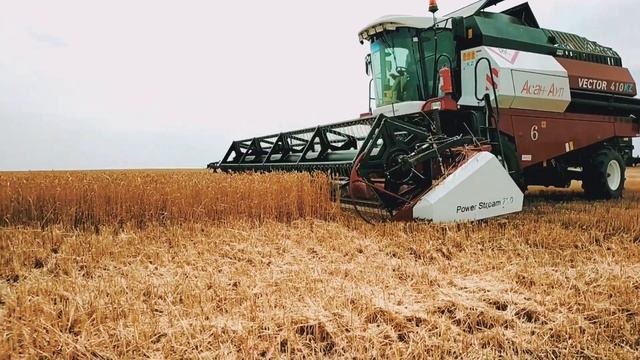 Надёжный комбайн VECTOR 410 / ТОО "Асан-Аул" Уборка урожая 2020 смотреть онлайн