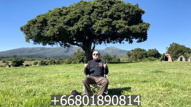 Внимание! Мы меняем рабочий номер WhatsApp. смотреть онлайн