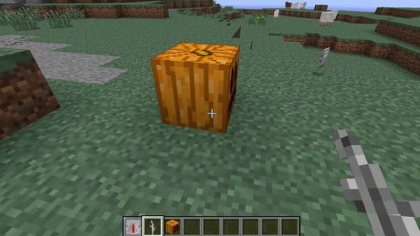 Minecraft - Removed Block Items (Old Secret Blocks)