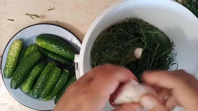 Вкусные традиции с Розой