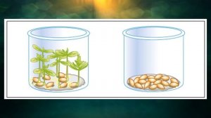 "Значение солнца для жизни на Земле", Окружающий мир 3 класс ч.1, с.20-24, Школа XXI век.