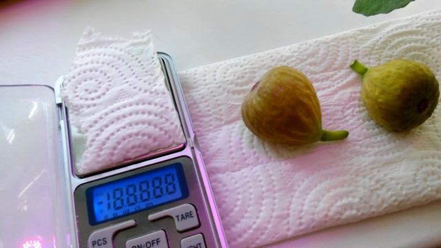 Инжир в Дмитрове смотреть онлайн