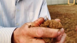 Затопило Участок? Что делать? Дренаж Глинистого Участка