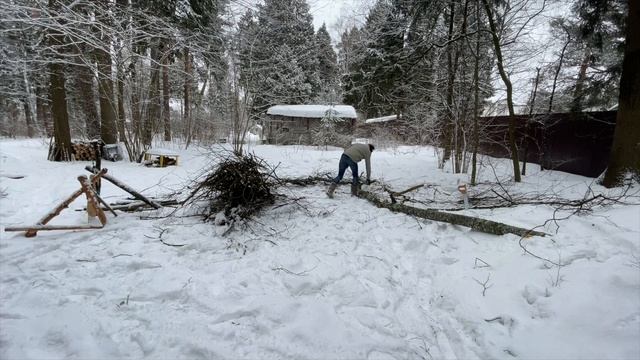 Парень пилит дерево 9 минут. Без слов. Timelapse. Workoutдлябедных смотреть онлайн