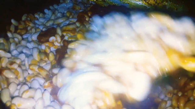 Kuru fasulye tarifi - Kuru Fasulye Nasıl Yapılır смотреть онлайн