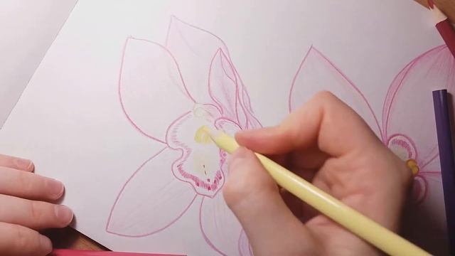 Рисуем орхидею цветными карандашами. Часть 2. We draw an orchid with colored pencils. Part 2. смотреть онлайн