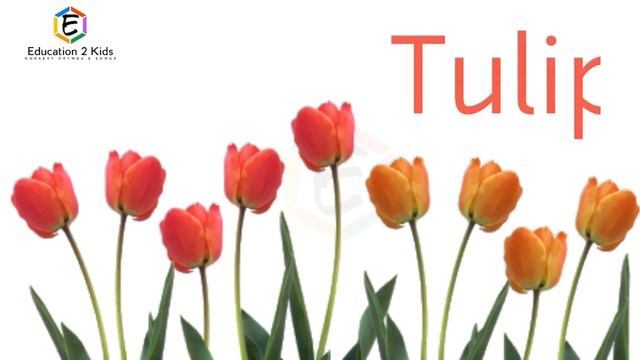 flowers name, 40 flowers name, flowers name with spelling смотреть онлайн