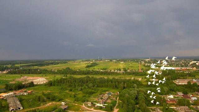 выпуск Будапештских высоколётных голубей 25 06 2021г смотреть онлайн