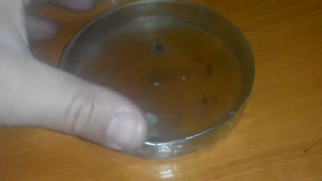 Чашка Петри без крышки. Выход з ситуации смотреть онлайн