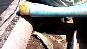 Рыбалка.Судаки на перемёт,перетягу,с лодки ПВХ. Zander fishinq.