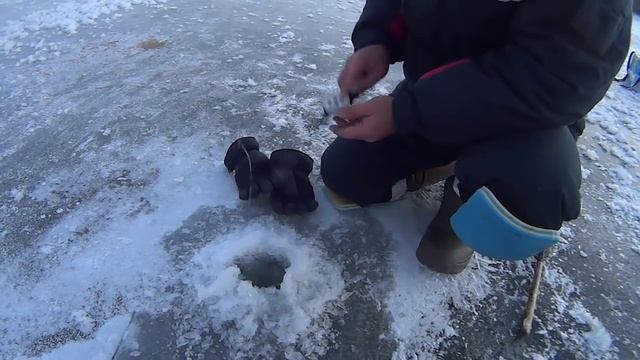 Открытие сезона, Макариха, Томь 14.11.15 смотреть онлайн