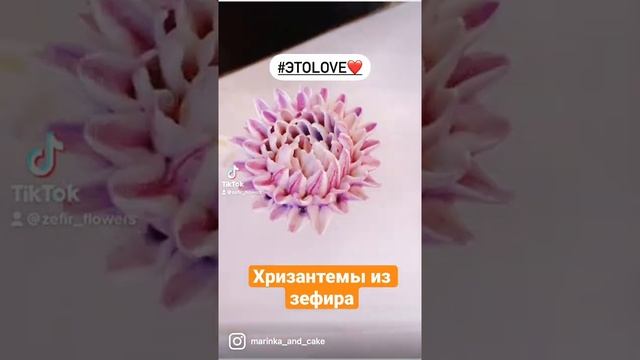 Хризантемы из зефира #zefirflowers смотреть онлайн