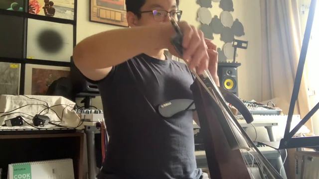 Day 51: The Two Grenadiers; A.Piatti Exercise 18 - Cello Learning Diary with Yamaha SVC-210 смотреть онлайн