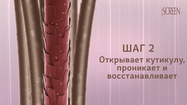 Система внутренней реконструкции волос REPAIR от итальянского бренда SCREEN смотреть онлайн