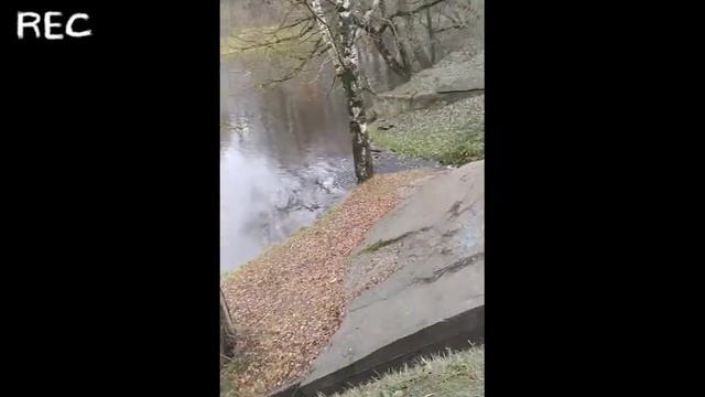 парк Подмосковье скитские пруды город Сергиев посад смотреть онлайн