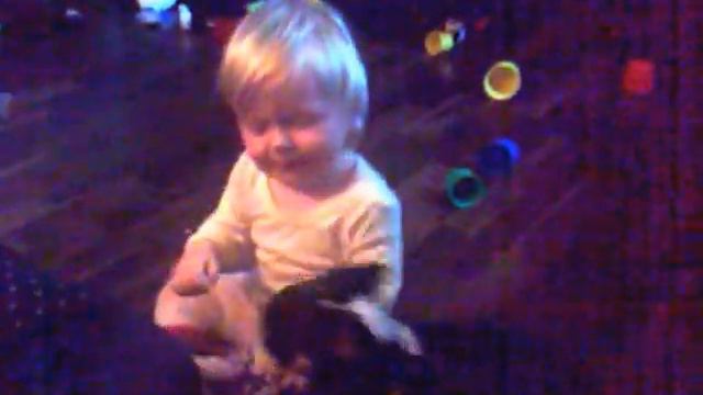 Baby love dogs. Russian toy, chihuahua смотреть онлайн