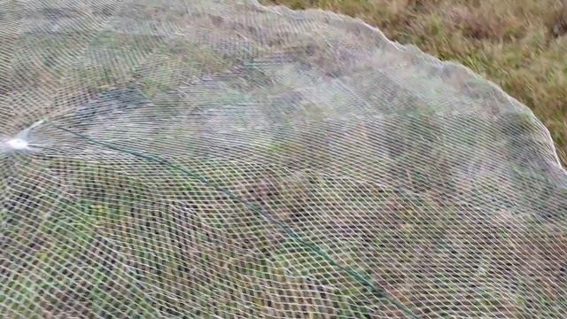 Кастинговая сеть из плетенки 4 метра смотреть онлайн