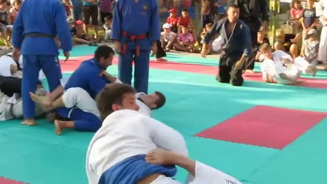 Летний лагерь Бушинкан 2012 4