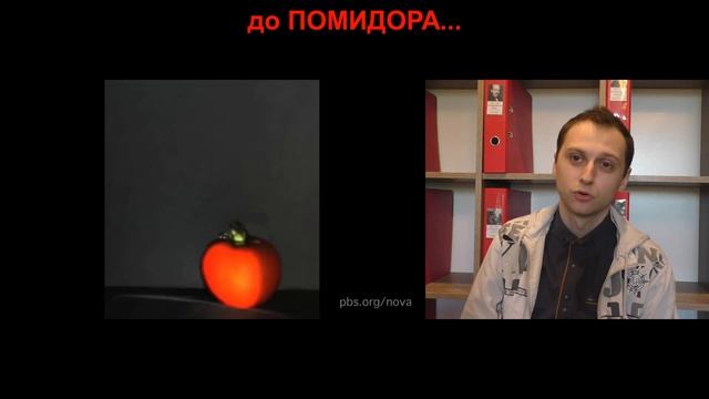 КАК УВИДЕТЬ СКОРОСТЬ СВЕТА?! - РАЗОБЛАЧЕНИЕ смотреть онлайн