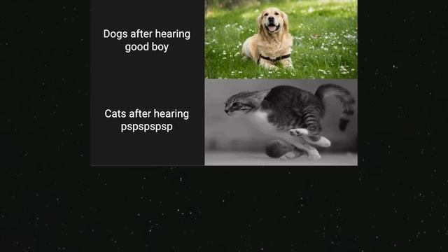 Dark Mode Video Memes V885 смотреть онлайн