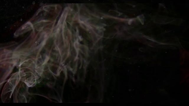 Steve North with Necessary Animals - 'Plaguey Island Waltz' - 2022 смотреть онлайн