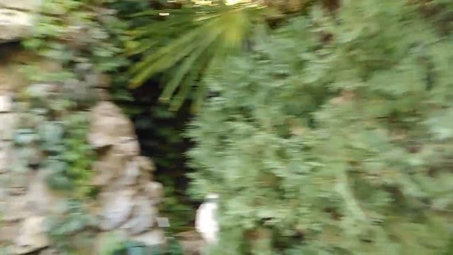 Крым с. Морское Гостевой дом "Бриз Морское" на берегу Черного моря смотреть онлайн