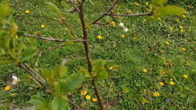 Сделал летний водопровод смотреть онлайн