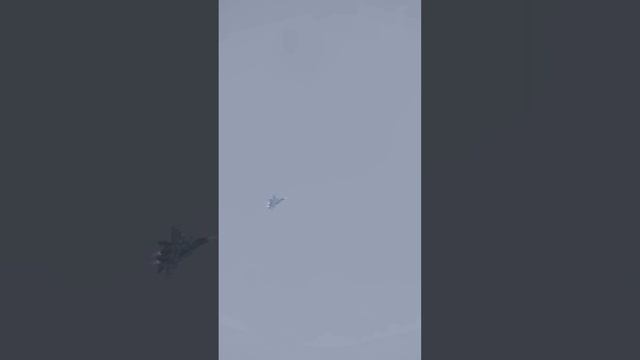 Moment of downing of Russian Su-33 naval fighter/Military Simulation #shorts смотреть онлайн