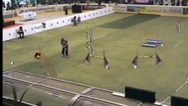 Agility WC 2009 Thierry Kwasny & Astuce Jumping Individual Large смотреть онлайн