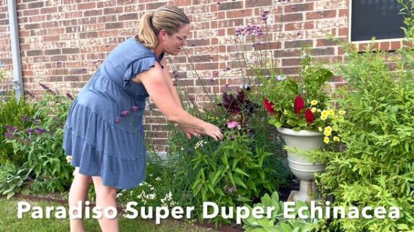 MAY GARDEN TOUR! - Part 1 🌷🌷 || The Garden Is At It's Best! || Southern Garden || Garden Tour 2023