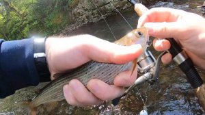 ХАРИУС НА МАЛЫХ РЕКАХ !!! РЫБАЛКА КАЙФ