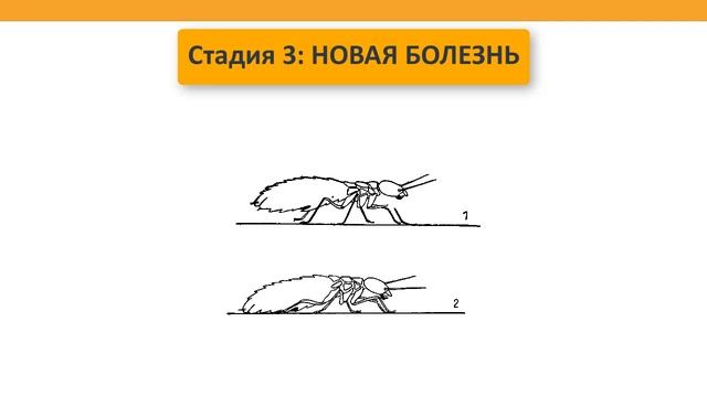 Модель жизни. Драгдилер муравьев. смотреть онлайн