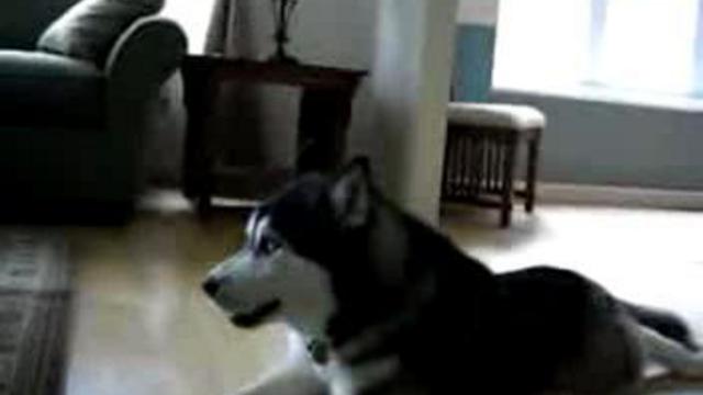 dsgdfg смотреть онлайн