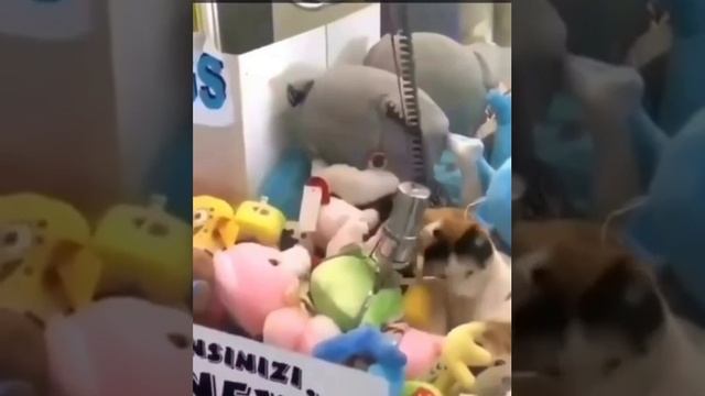 все мое смотреть онлайн