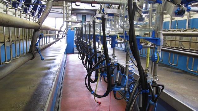 Visit the winning Quality Milk Awards farm смотреть онлайн
