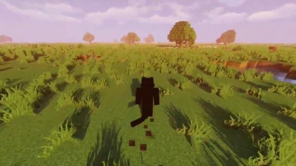 Custom Player Model Test - Minecraft Customization Mod