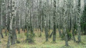 Удмурт караоке ( I ). Ой,тӥ,чебер нылъёс