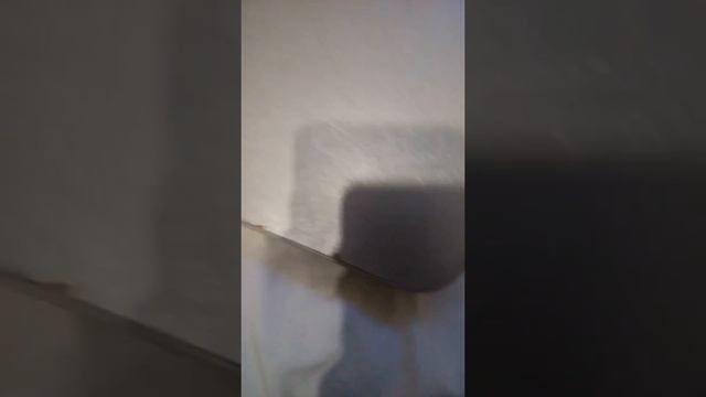 Нашел очень старые деньги,обзор на старые деньги смотреть онлайн