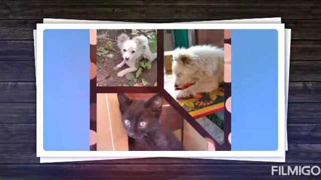 Просто красивые картинки